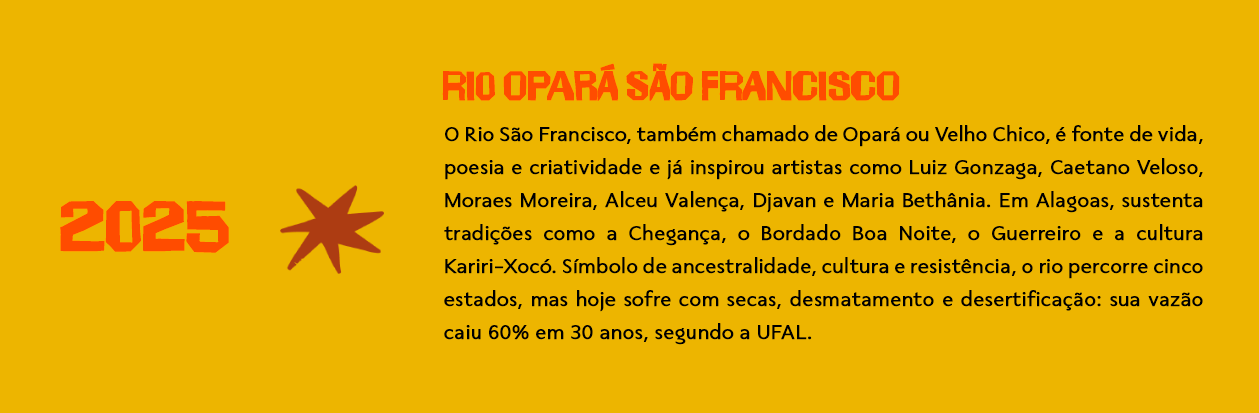 HOMENAGEADO 2025.png